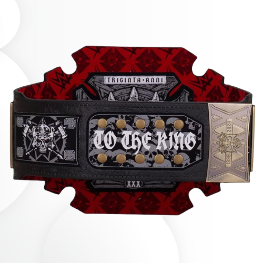Triple H 30 Years of The Authority WWE Championship Title Belt