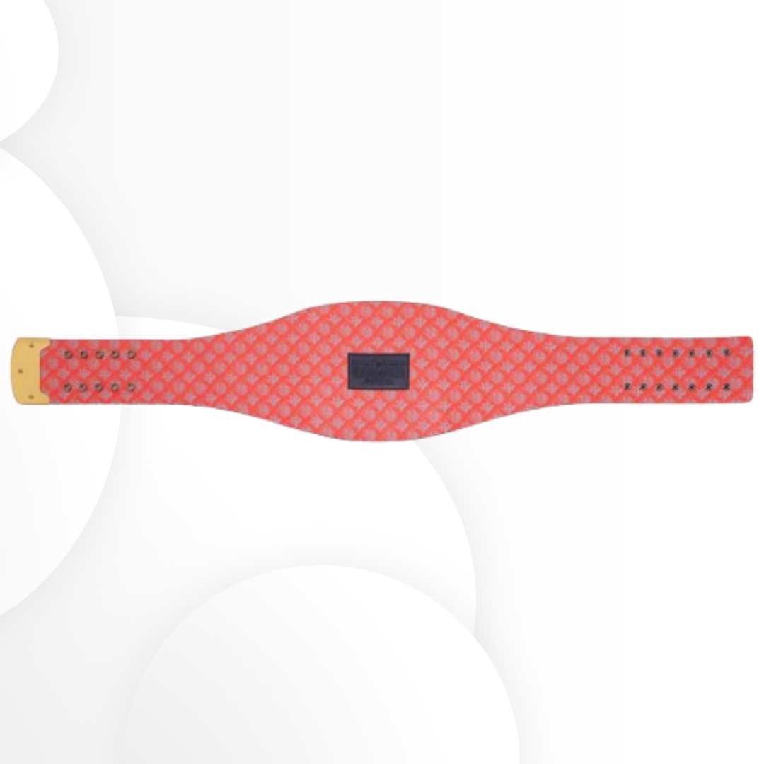 Chicago Bears Gridiron Glory WWE Title Belt