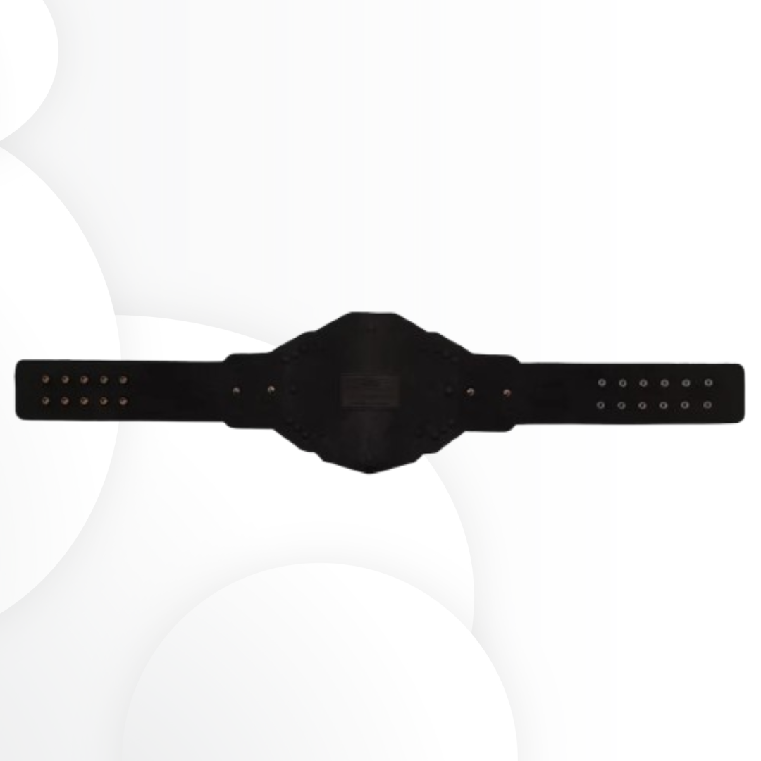 WWE NXT Championship 2025 Replica Title Belt