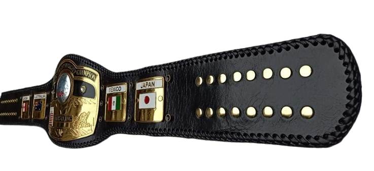 A black leather championship belt with gold-tone hardware and multiple country name plates, shown on a plain white background.