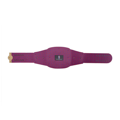 Toronto Raptors Legacy Championship Replica Title Belt