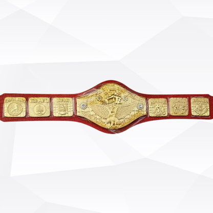Wrestling championship belt with gold buckle on a white background