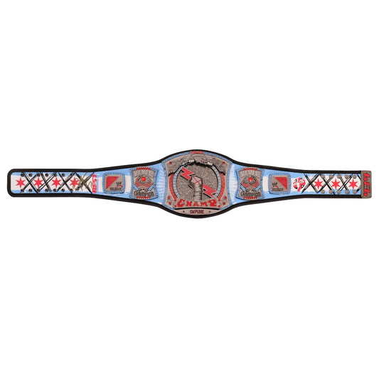 CM Punk WWE Autographed 434 Days As Champion Signature Series Replica Title Belt