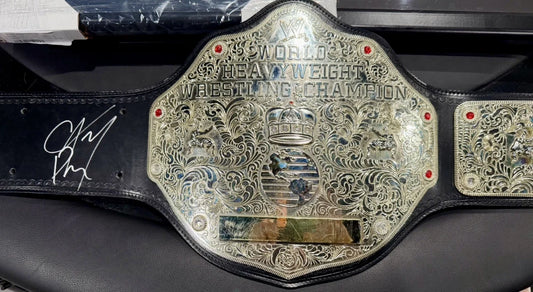 CM Punk WWE World Heavyweight Championship Replica Title Belt
