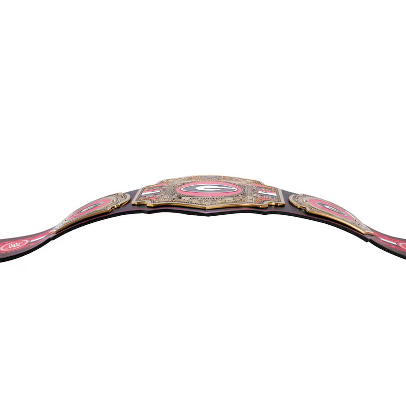 Decorative belt with pink and gold design on a white background