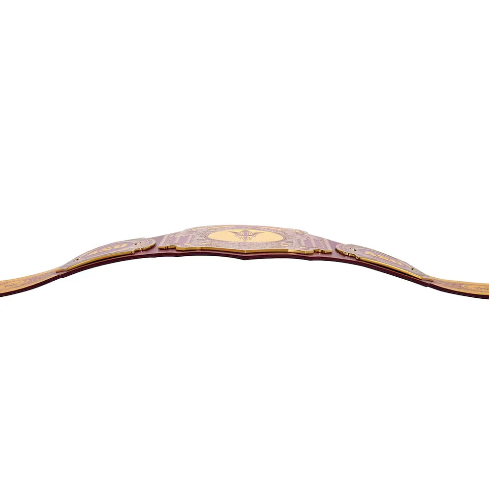 A close-up of a brown leather championship belt with gold-toned hardware and a central gold emblem, shown against a plain white background.