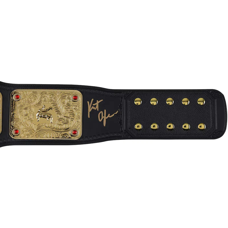 Black championship belt with gold buckle on a white background