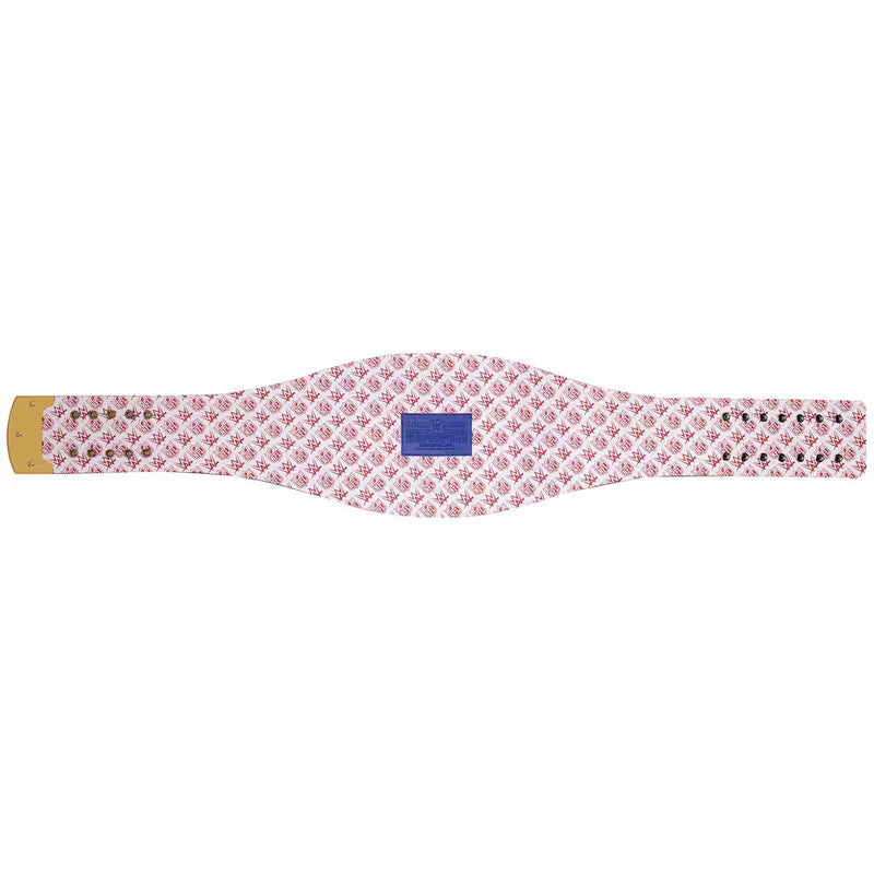 Pink patterned belt with a blue patch on a white background