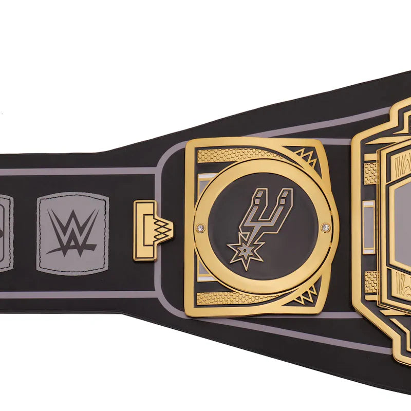 Wrestling championship belt with WWE logo on a white background 