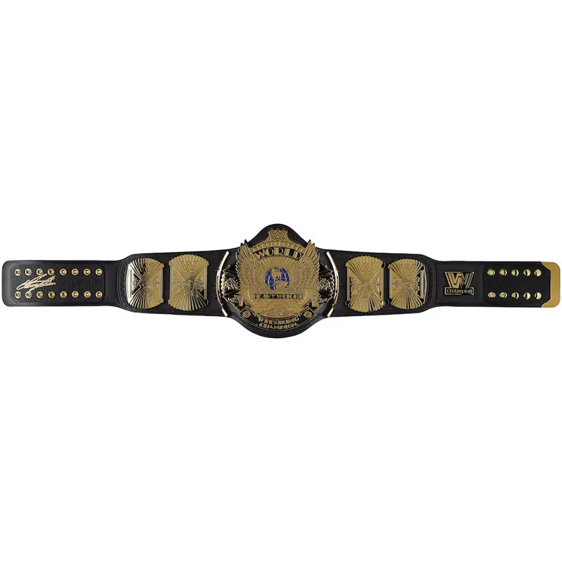 A WWE Championship belt with a black leather strap and gold-toned metal plates, shown horizontally against a plain white background.