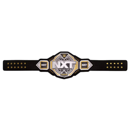 WWE NXT championship belt on a white background