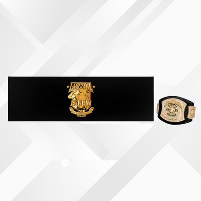 Exclusive John Cena Mini Replica Spinner Belt – Limited “Thank You, Cena” with case