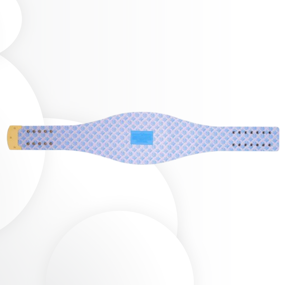 Detroit Lions WWE Legacy Championship Title Belt