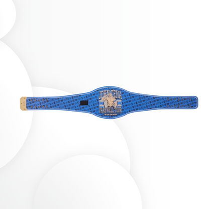 Grand Rapids Exclusive John Cena Farewell Tour 2025 Spinner Championship Replica Title