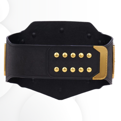 WWE Undisputed Championship Commemorative Replica Title Belt