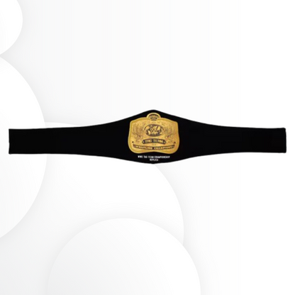 Official WWE Tag Team Championship Replica Title Belt Display Quality