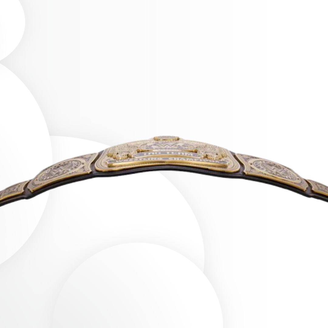 Official WWE Tag Team Championship Replica Title Belt Display Quality