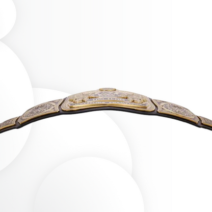 Official WWE Tag Team Championship Replica Title Belt Display Quality