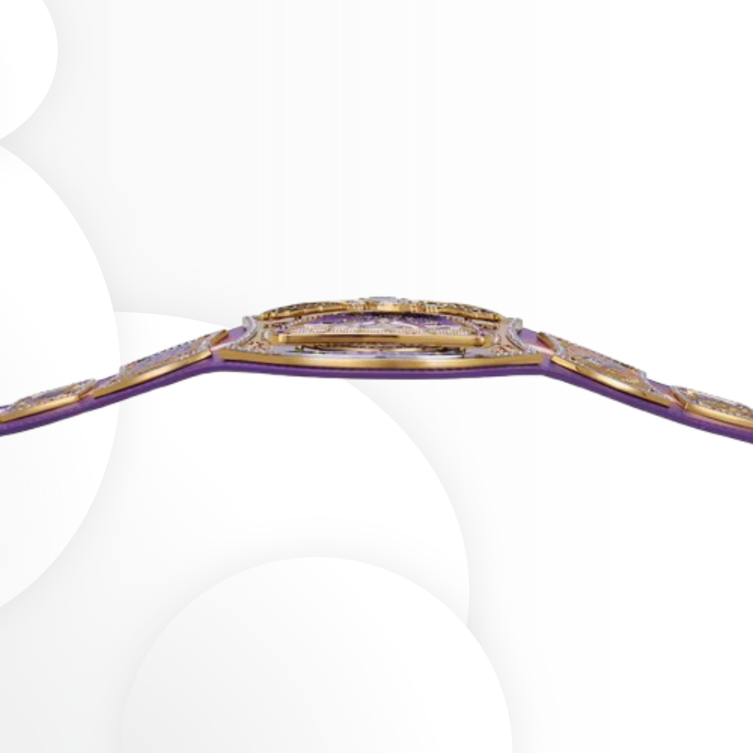 John Cena Farewell Tour 2025 Phoenix WWE Spinner Replica Belt