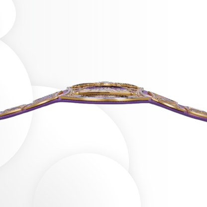 John Cena Farewell Tour 2025 Phoenix WWE Spinner Replica Belt