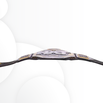 WWE NXT Championship 2025 Replica Title Belt