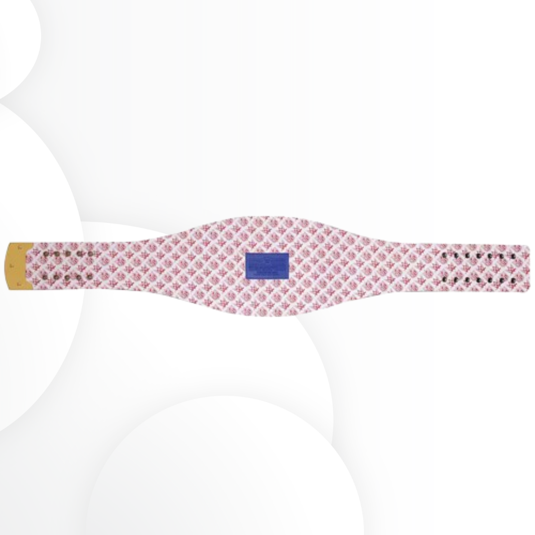 New York Giants WWE Legacy Championship Title Belt