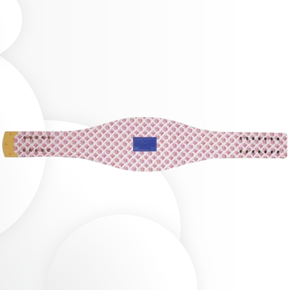 New York Giants WWE Legacy Championship Title Belt