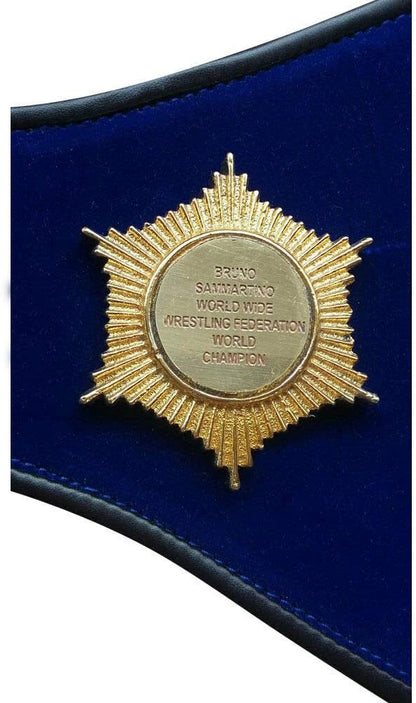 Blue championship belt with a gold medallion on a white background