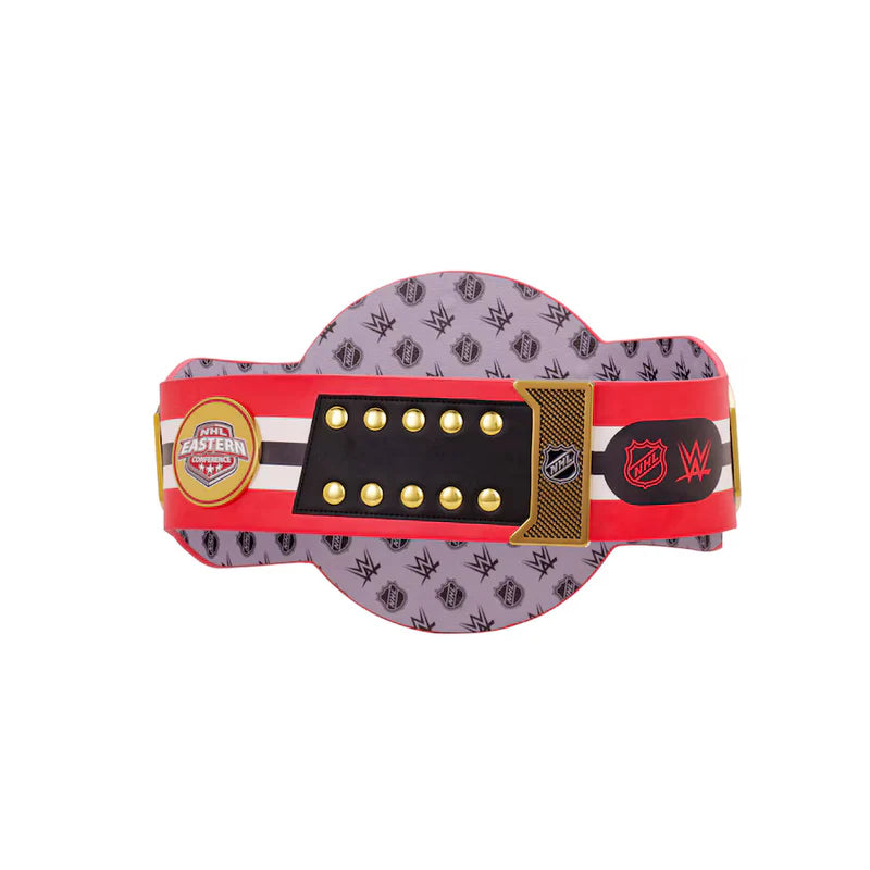 Wrestling championship belt with logos on a white background