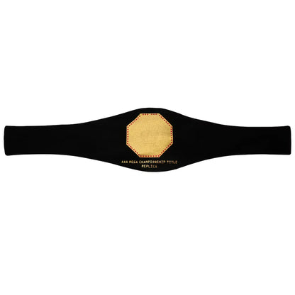 Black championship belt with gold buckle on a white background