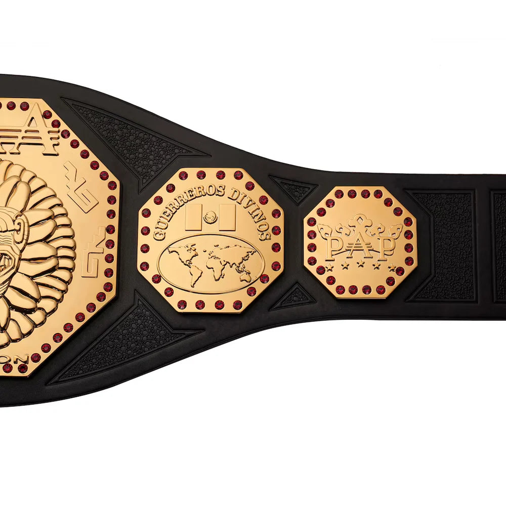 Black championship belt with gold and red medallions on a white background