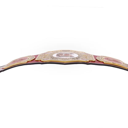 A championship belt with a burgundy leather strap and ornate gold and silver metal plates, shown against a plain white background.