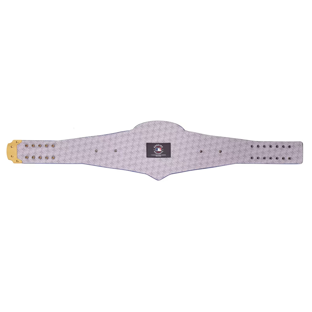 Gray weightlifting belt with gold buckle on a white background