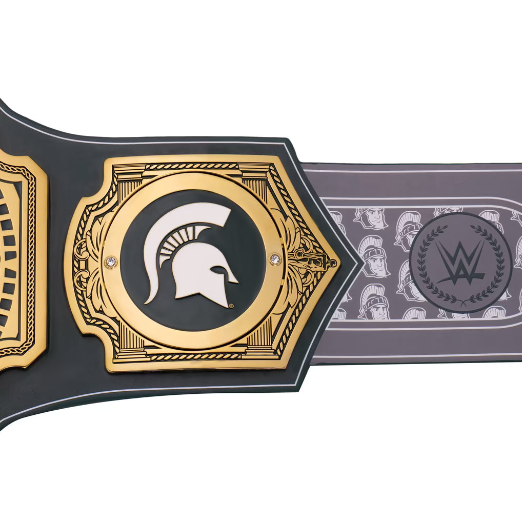 Wrestling championship belt with gold and black design on a white background