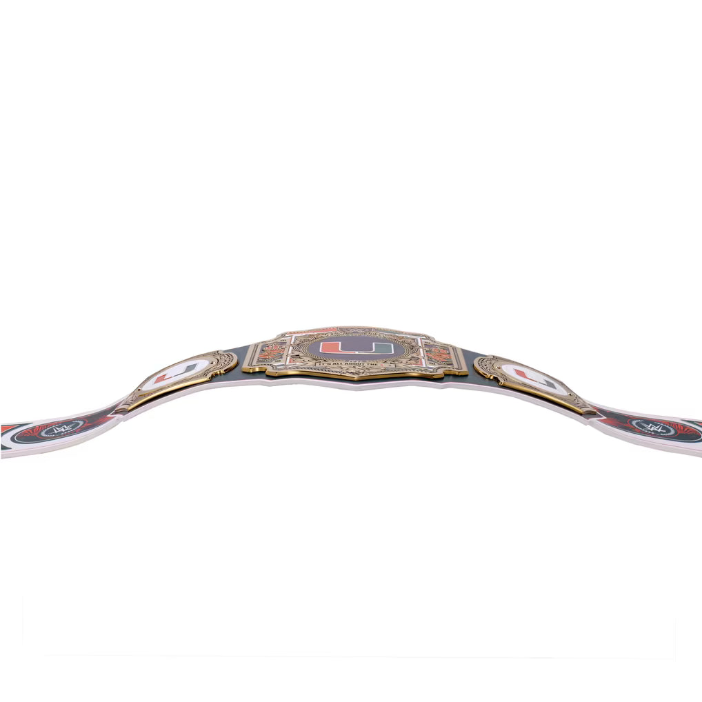 A championship belt with a black strap, gold trim, and a central ornate gold plate featuring a red and blue flag design, photographed against a solid white background.