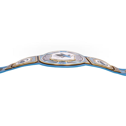 NHL San Jose Sharks championship belt