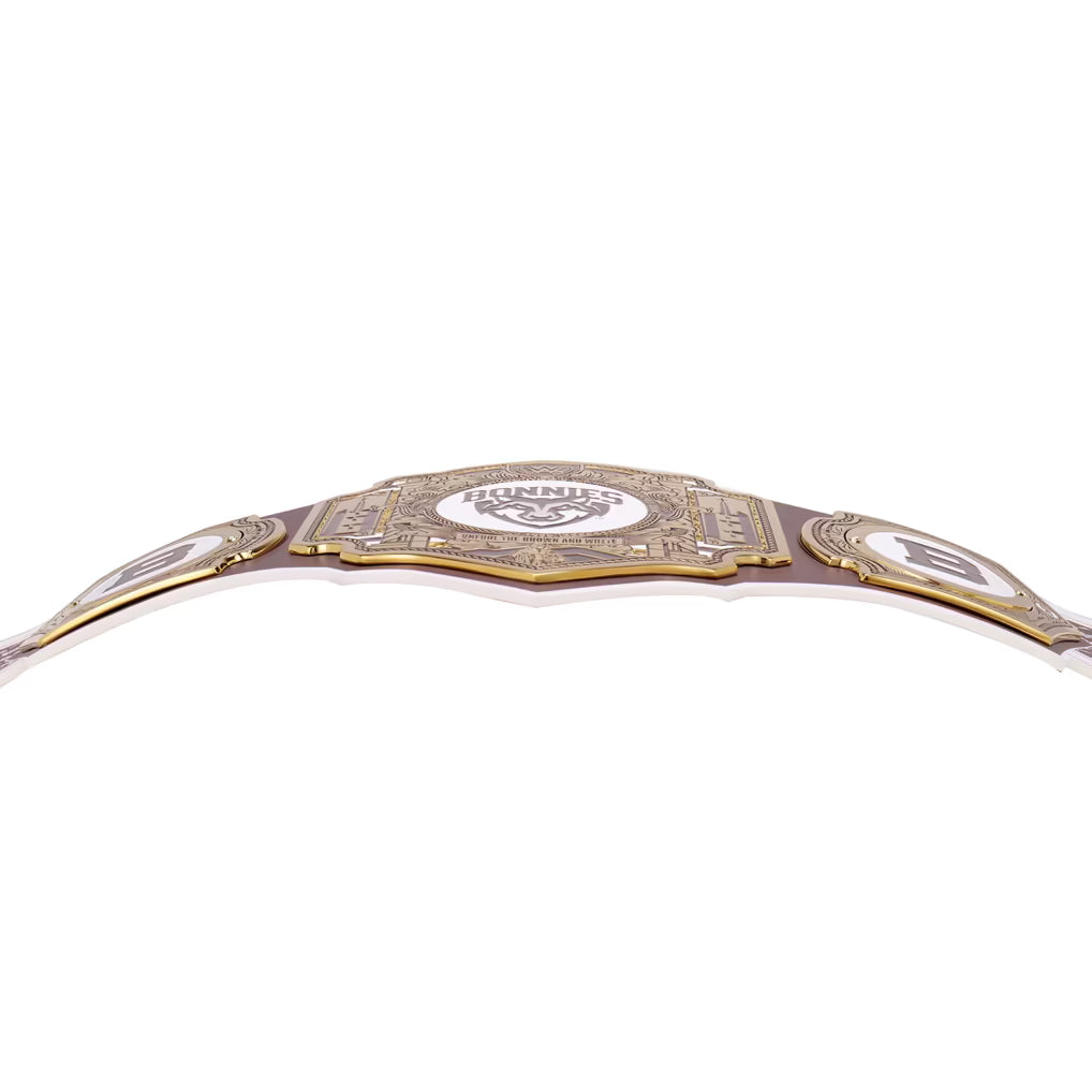 WWE championship belt on a white background
