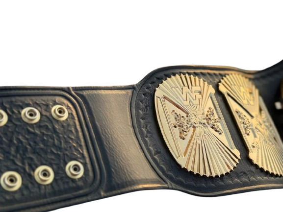 A close-up of a black leather championship belt with ornate gold metal plates and studs, shown against a plain white background.