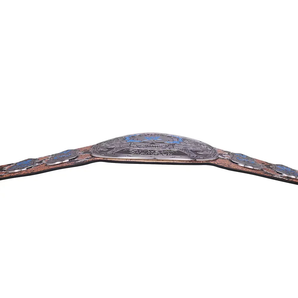 A close-up of a championship belt featuring a large silver-toned central plate with blue and gold details, flanked by brown leather straps with blue and silver inlays, on a plain white background.