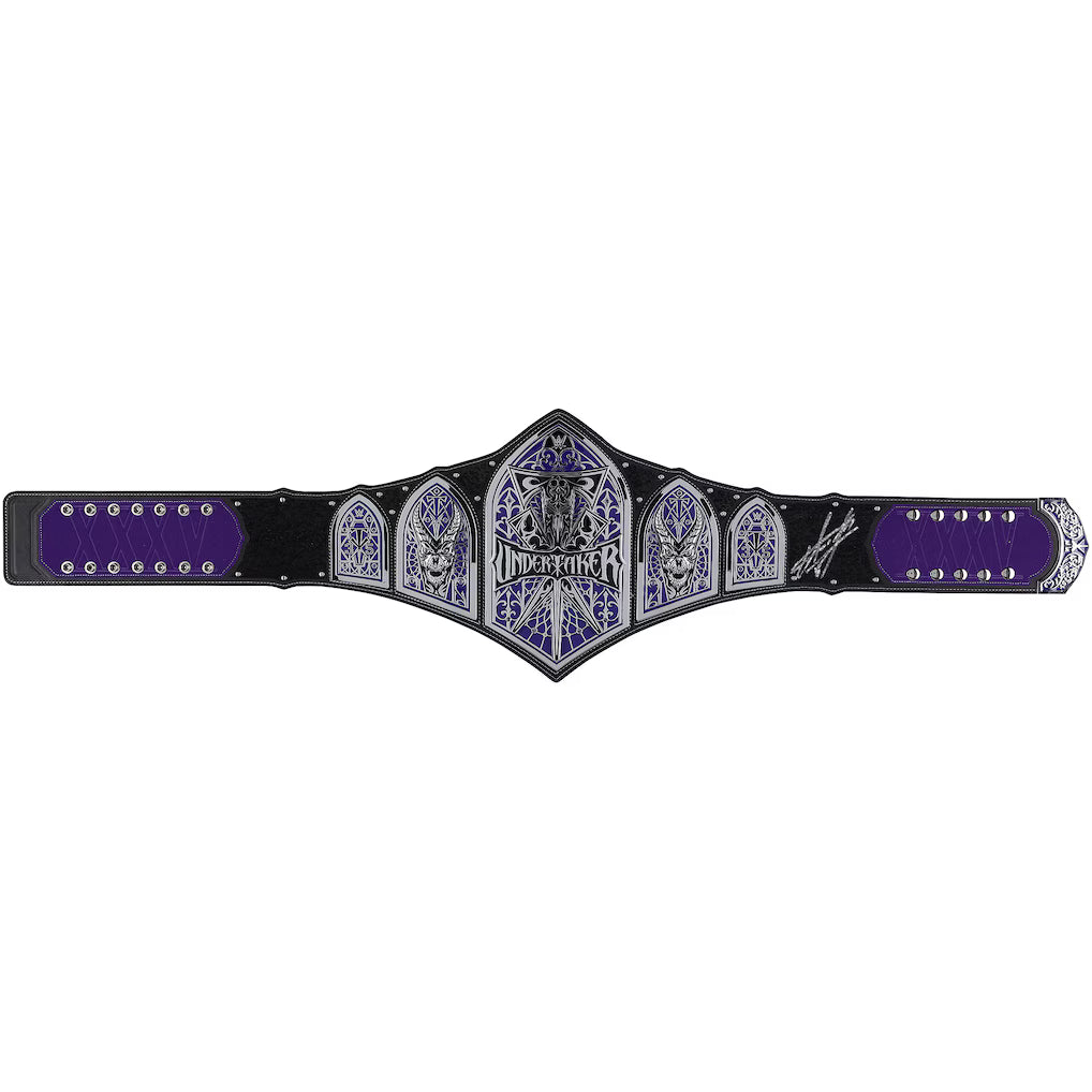 A WWE Championship belt featuring a black leather strap, purple inlay panels, and a large central silver-toned plate with blue and purple decorative detailing and the WWE logo.