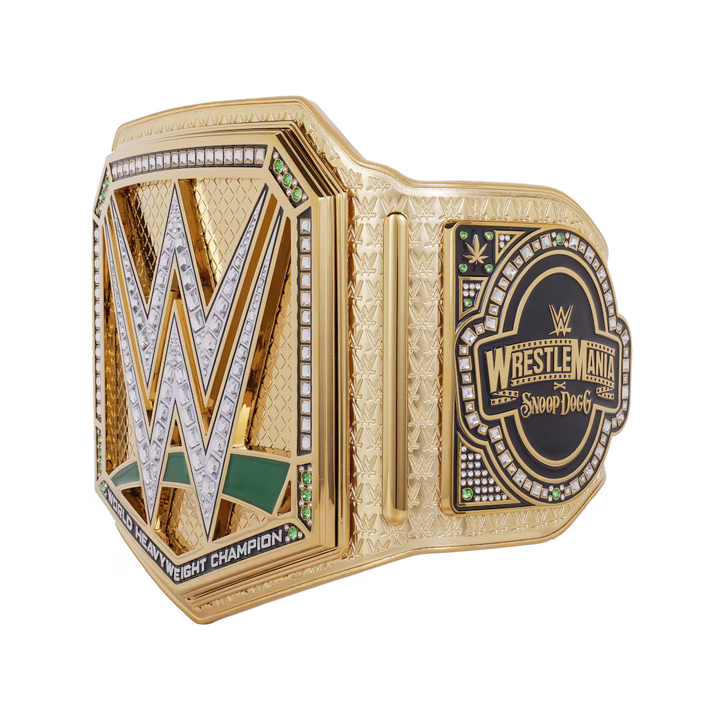 Gold wrestling championship belt with WWE logo on a white background