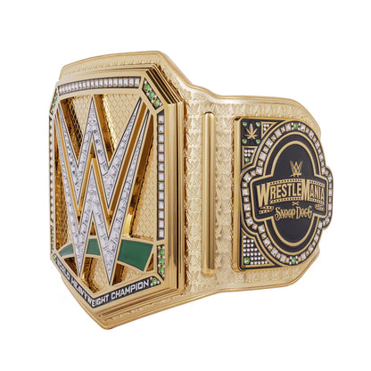Gold wrestling championship belt with WWE logo on a white background