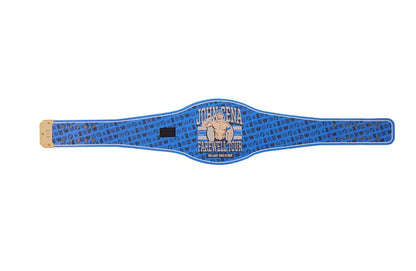 Grand Rapids Exclusive John Cena Farewell Tour 2025 Spinner Championship Replica Title